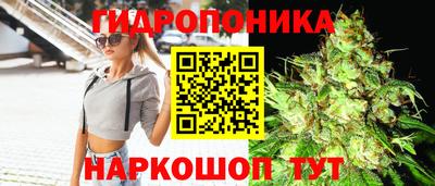 соль ск Чапаевск