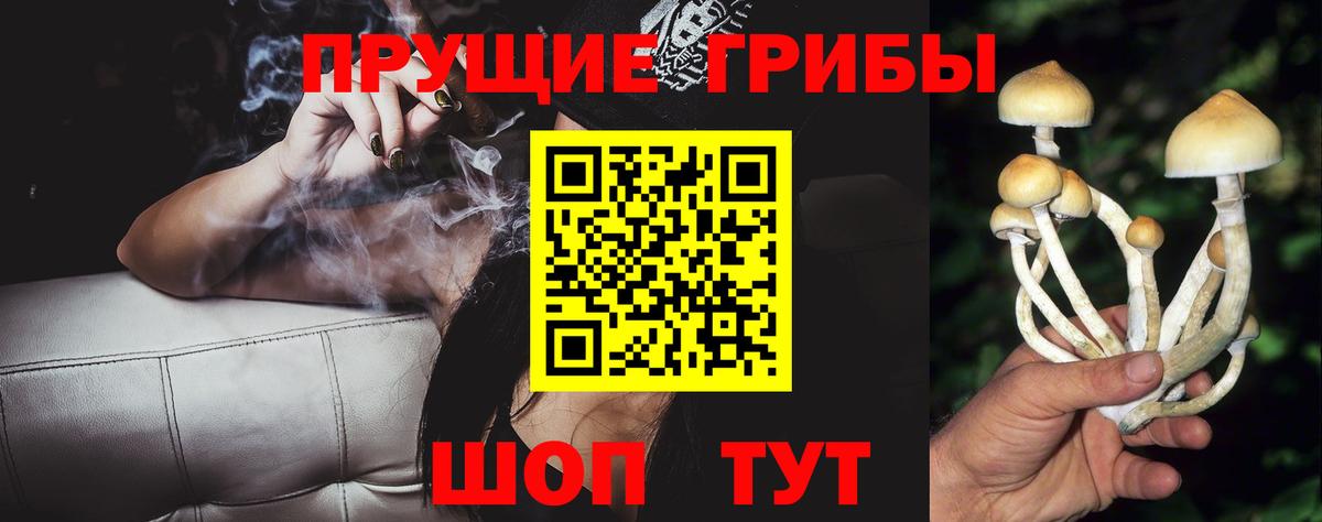 Бугуруслан  Галлюциногенные грибы Psilocybine cubensis  Вход с VPN 